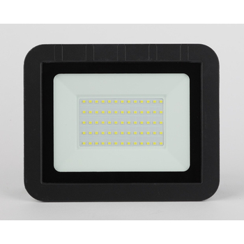ЭРА LPR-061-0-65K-050 Прожектор светодиодный уличный
