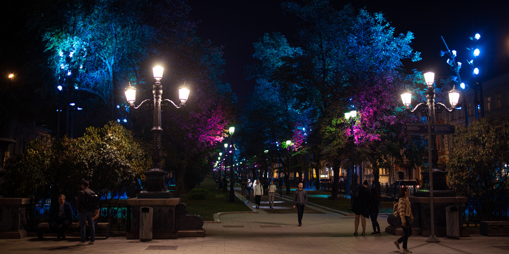 Уличная подсветка деревьев и зеленых насаждений